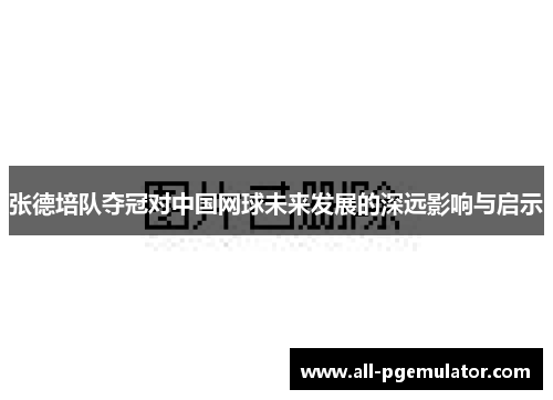 张德培队夺冠对中国网球未来发展的深远影响与启示
