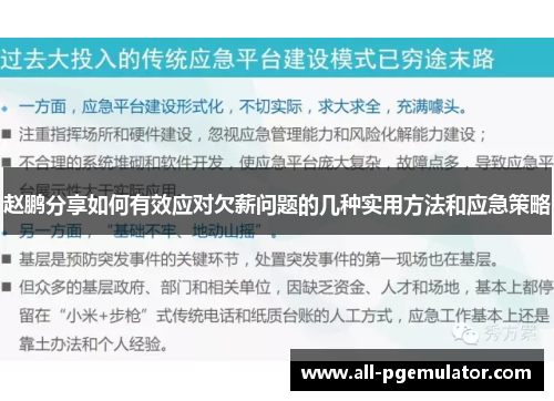 赵鹏分享如何有效应对欠薪问题的几种实用方法和应急策略