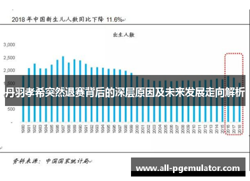 丹羽孝希突然退赛背后的深层原因及未来发展走向解析