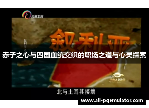 赤子之心与四国血统交织的职场之道与心灵探索