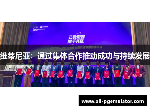 维蒂尼亚:通过集体合作推动成功与持续发展 维蒂尼亚:通过集体合作推动成功与持续发展