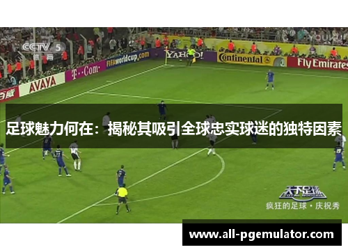 足球魅力何在：揭秘其吸引全球忠实球迷的独特因素