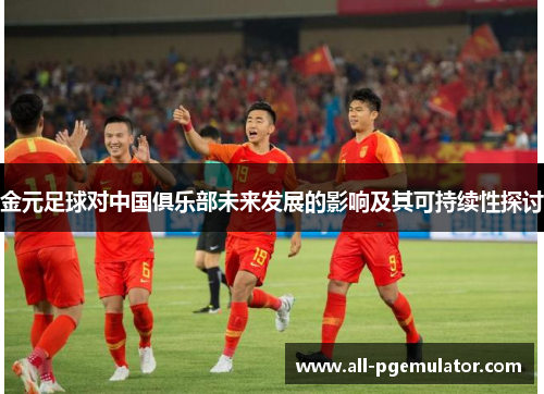 金元足球对中国俱乐部未来发展的影响及其可持续性探讨